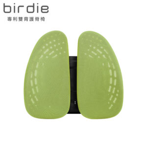 德國專利雙背護脊護腰墊_湖水綠